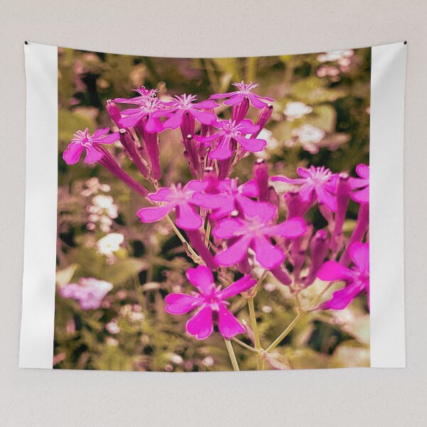 Item preview, Sweet Williams designed and sold by TiltedCode.