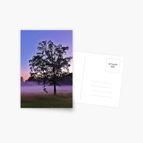 Item preview, Misty Morning designed and sold by JoAnn Glennie.