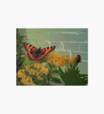 Small Tortoiseshell Art Board