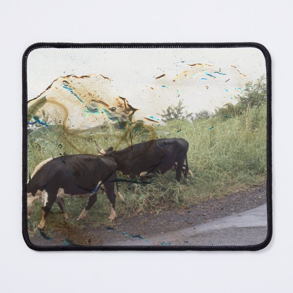 Artikelvorschau, The altered slides series 4 entworfen und verkauft von Gabriele Maurus.