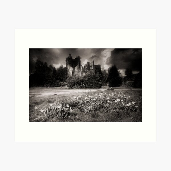 Item preview, Buchanan Castle II designed and sold by Thistle Images.