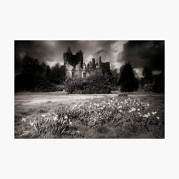 Item preview, Castillo de Buchanan II designed and sold by Thistle Images.