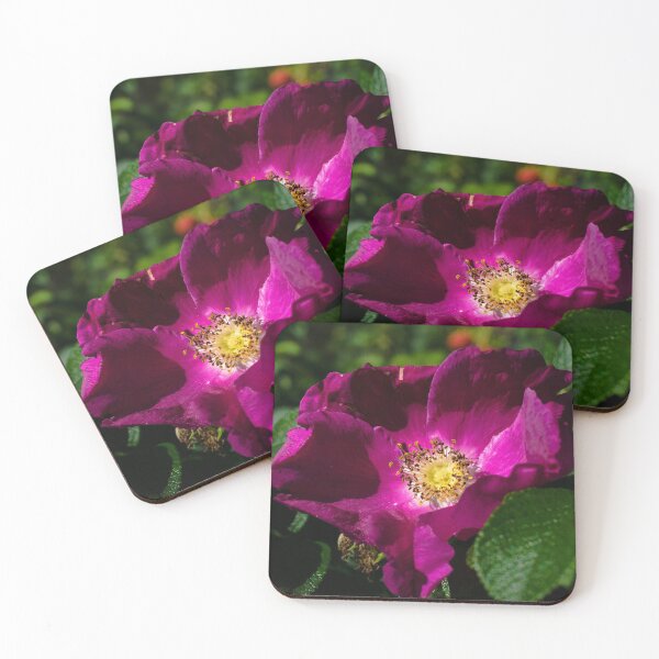 Item preview, Rosa rugosa designed and sold by carolmaia.