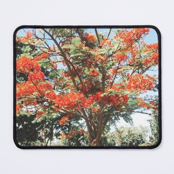 Item preview, Be like a TREE, and let the dead leaves drop. designed and sold by findsbyjune374.