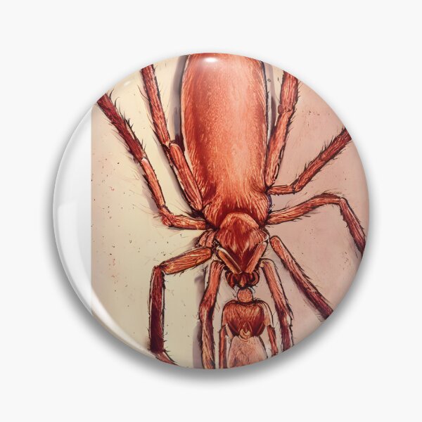 Item preview, A recluse brown spider . designed and sold by deville13.