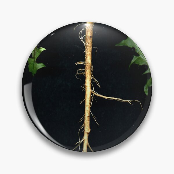 Item preview, Taraxacum 2 designed and sold by Gabriele Maurus.