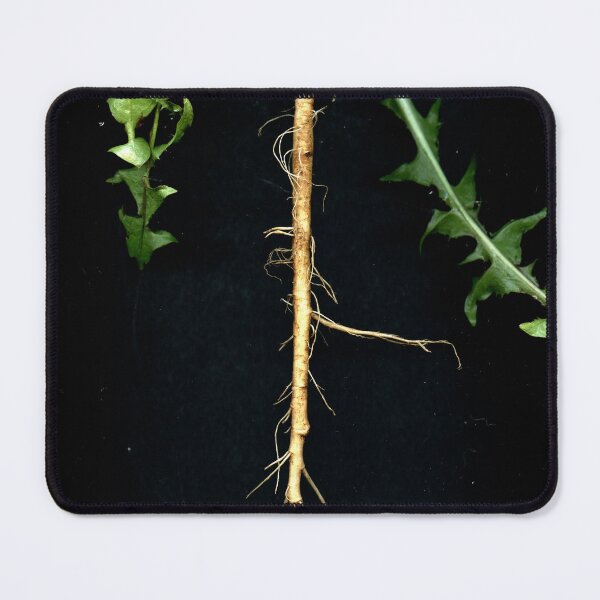 Item preview, Taraxacum 2 designed and sold by Gabriele Maurus.