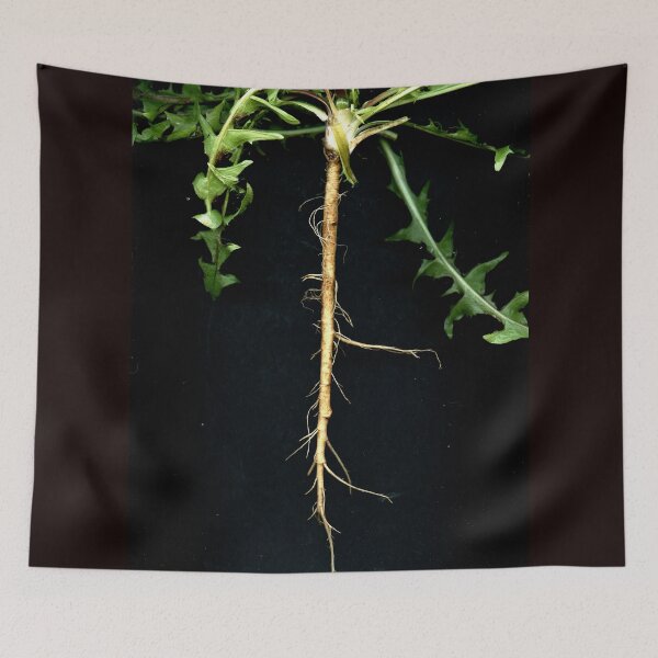 Item preview, Taraxacum 2 designed and sold by Gabriele Maurus.