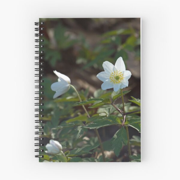 Item preview, Wood Anemones in Springtime designed and sold by Sue Robinson.