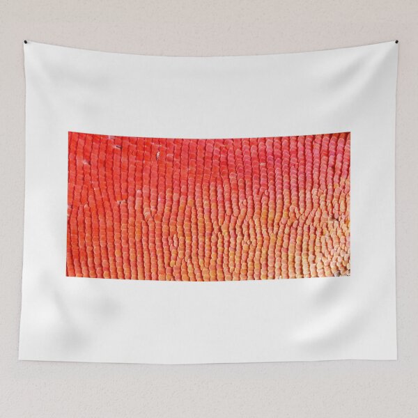 Item preview, Orange lacewing butterfly  designed and sold by jagphoto.