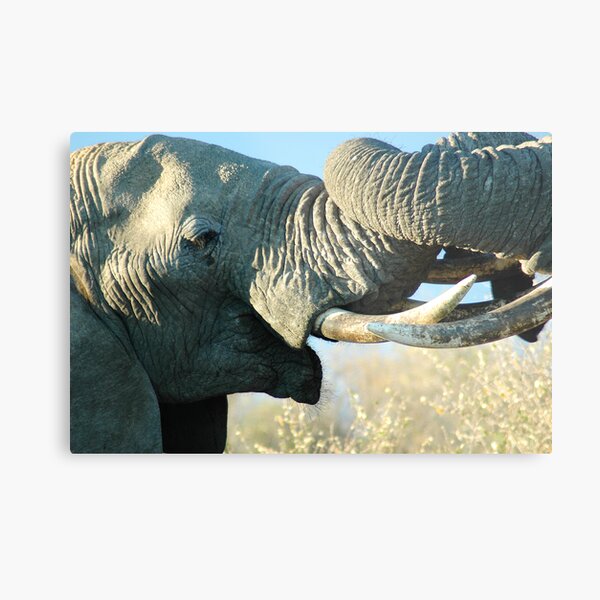 Embracing Metal Print