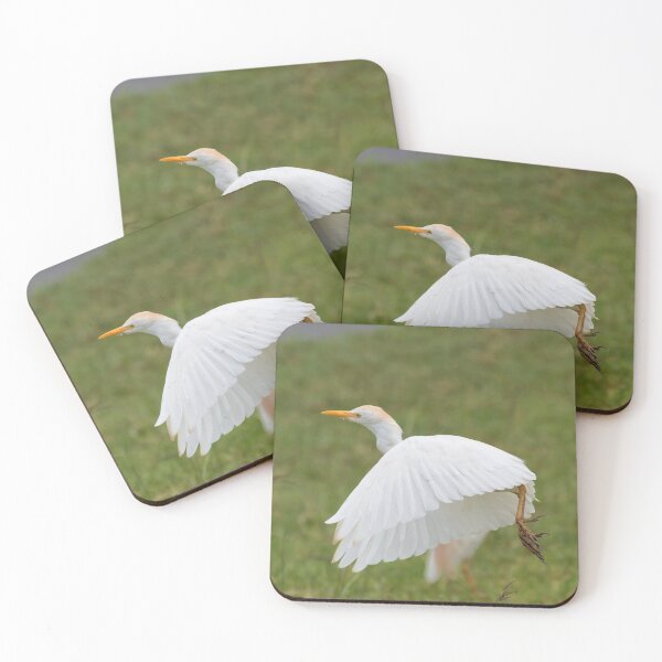 Item preview, Western Cattle Egret (Bubulcus ibis) designed and sold by Yair Karelic.