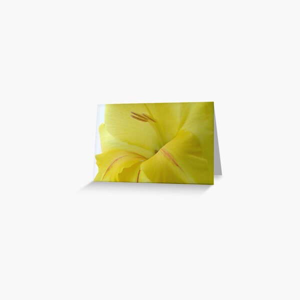 More Yellow Glads Greeting Card
