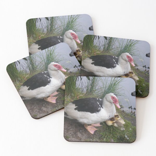 Item preview, Muscovy Mother and Ducklings designed and sold by imphavok.