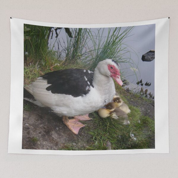 Item preview, Muscovy Mother and Ducklings designed and sold by imphavok.