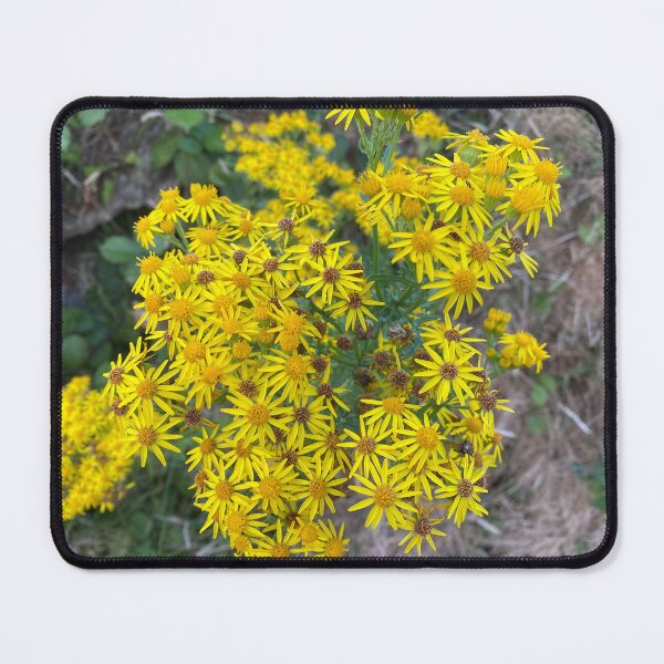 Item preview, Yellow Oxford Ragwort Flowers designed and sold by Sinemathk.