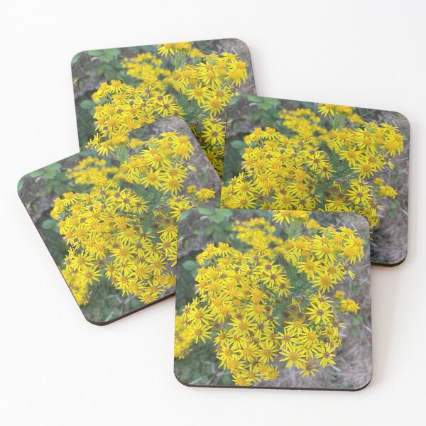 Item preview, Yellow Oxford Ragwort Flowers designed and sold by Sinemathk.