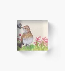 Wren Acrylic Block