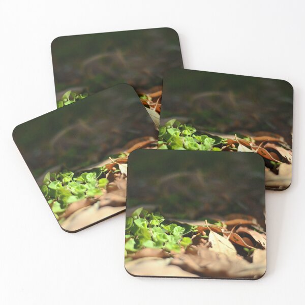 Item preview, Sun kissed forest floor designed and sold by HiPolly.