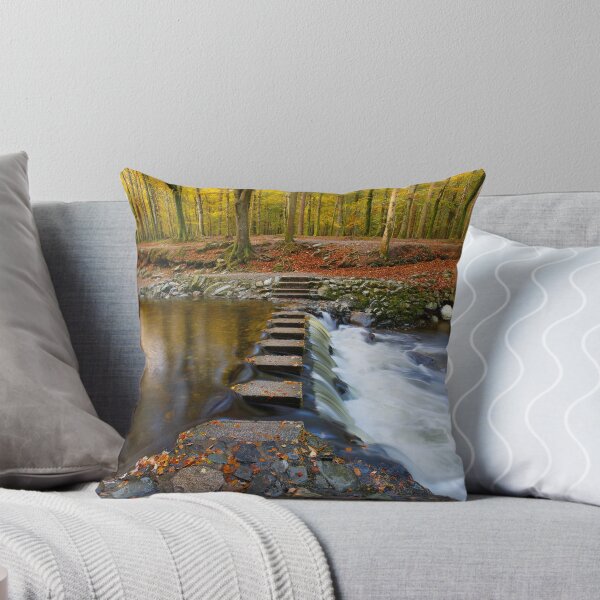 Item preview, Tollymore Forest Park  County Down  Northern Ireland designed and sold by Zdrojewski.
