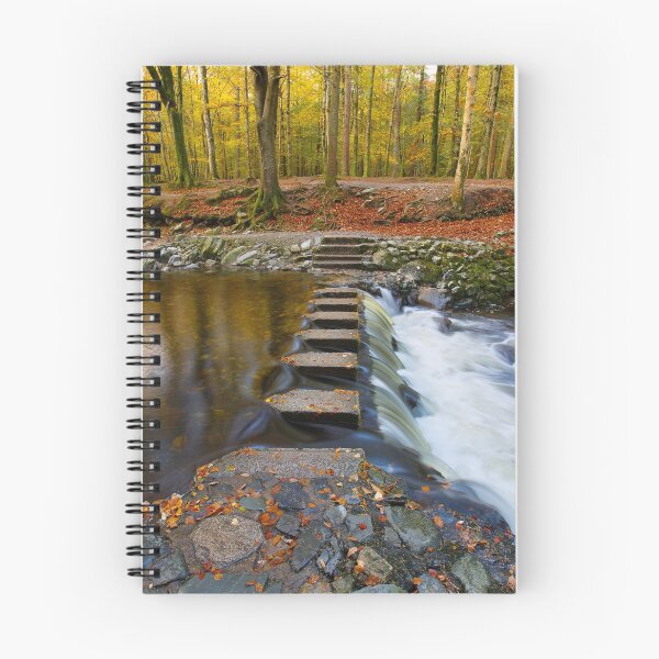 Item preview, Tollymore Forest Park  County Down  Northern Ireland designed and sold by Zdrojewski.