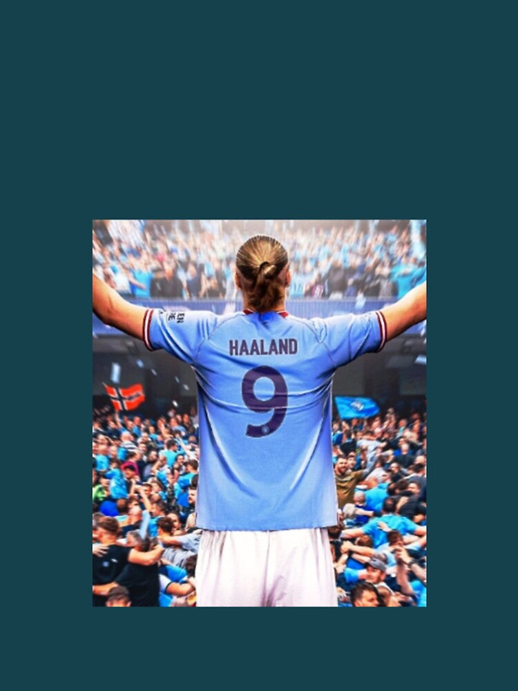 480x800 Erling Haaland Ea Sports Fc 24 Galaxy Note,HTC Desire,Nokia Lumia  520,625 Android ,HD 4k Wallpapers,Images,Backgrounds,Photos and Pictures