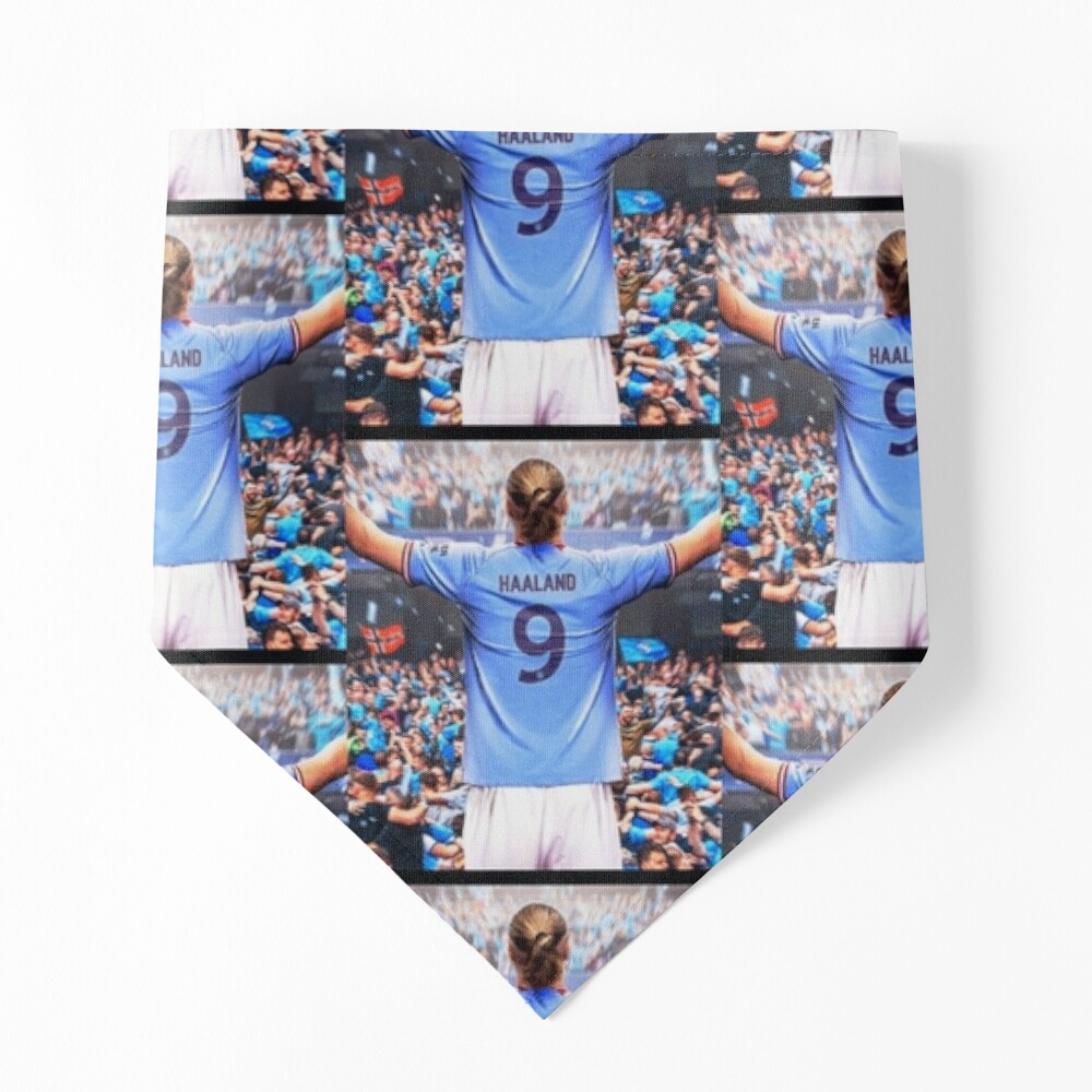 Best Sports Fan Pet Bandana