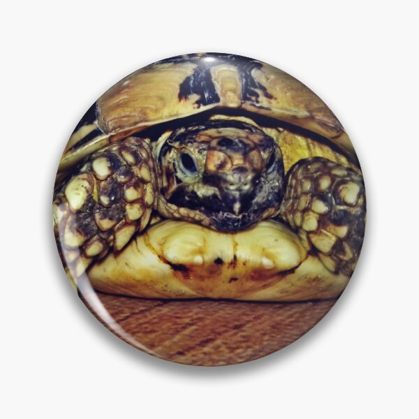 Item preview, Danger turtle inside designed and sold by Mahmoud Salah.