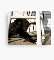Mary Jane Canvas Print