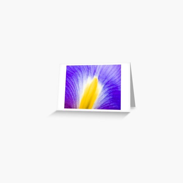 Infuse Greeting Card