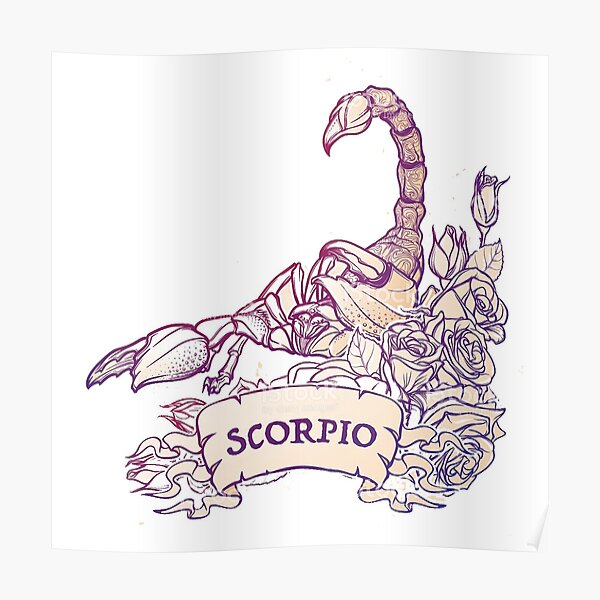 Scorpion Drawing, Scorpion tattoo silhouette, pencil, monochrome png |  PNGEgg