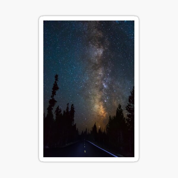 Item preview, Forest Highway Light designed and sold by Bo Insogna.
