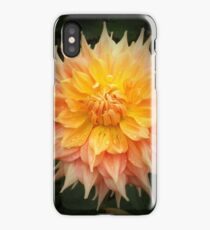 Beautiful Orange Dahlia Macro iPhone Case/Skin
