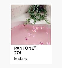 Pantone Ecstasy Fotodruck