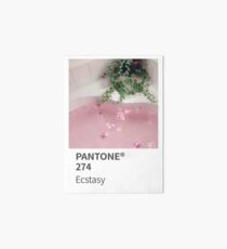 Pantone Ecstasy Galeriedruck