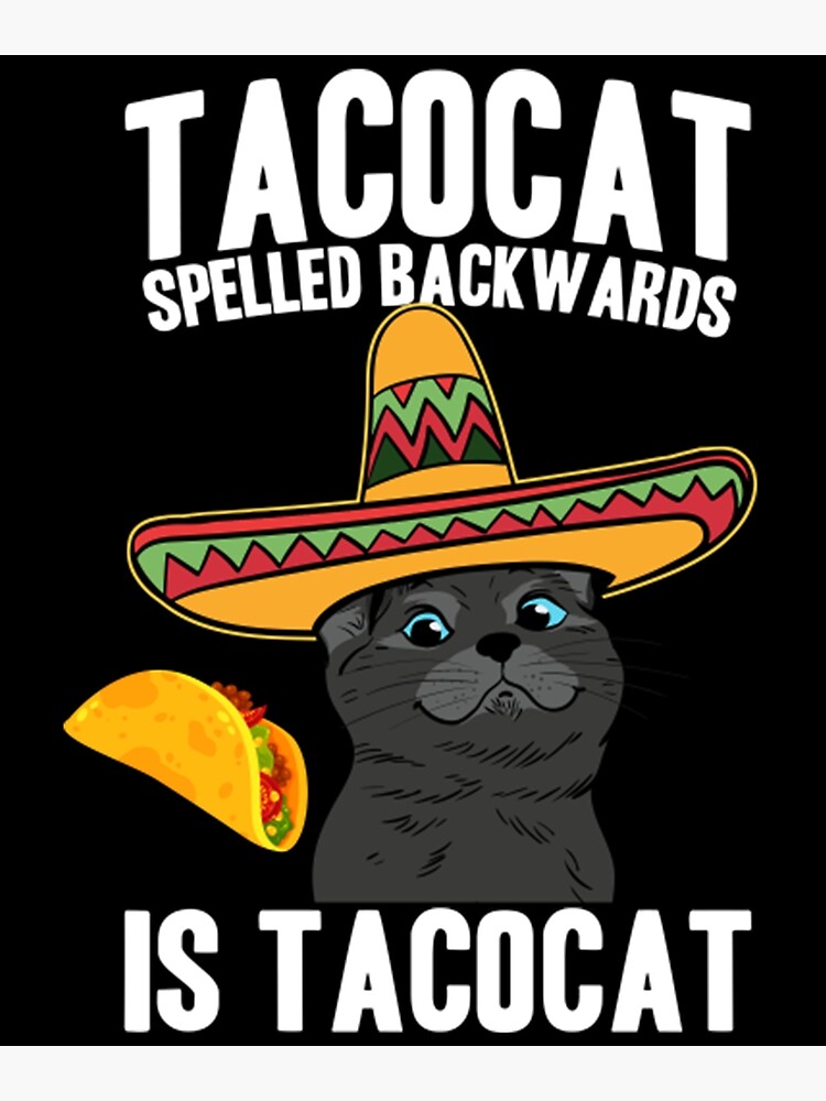 Meme Tacocat Cinco De Mayo Funny Mexican Tacos And Cat Lovers Poster