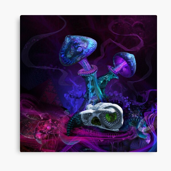 Between Dimensions Canvas Print