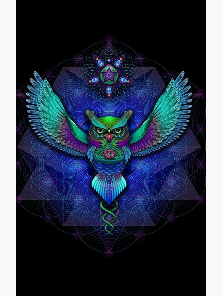 Sacred Geometry Owl by MushroomDreams