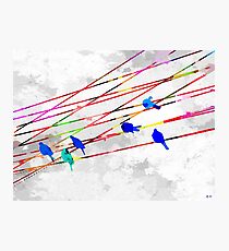 Birds on the Wire Photographic Print