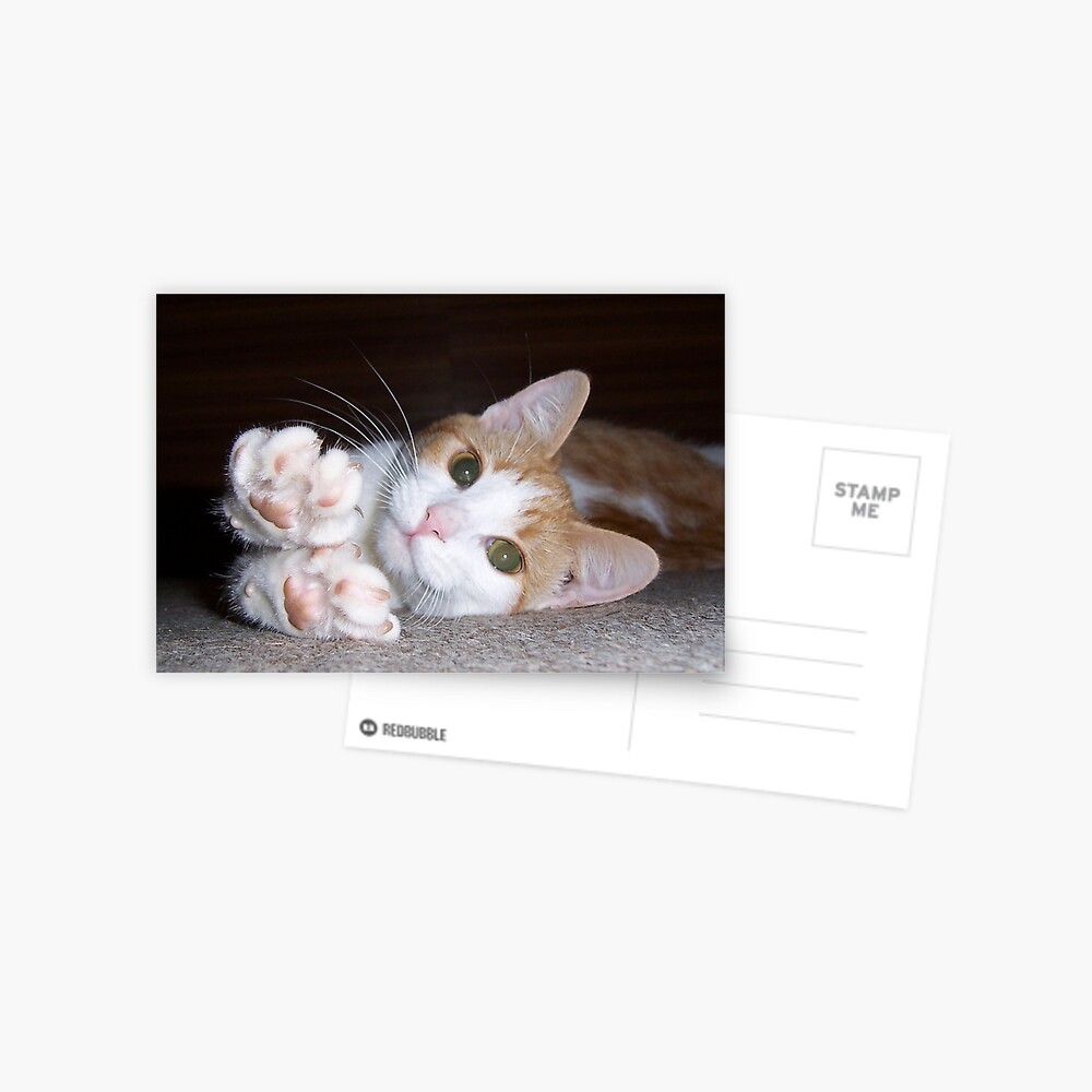 Item preview, Postcard designed and sold by theoddshot.