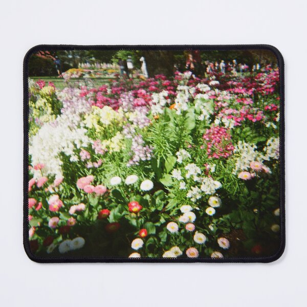 Item preview, Carnival of Flowers 35mm film photography designed and sold by Dominique Tassell.