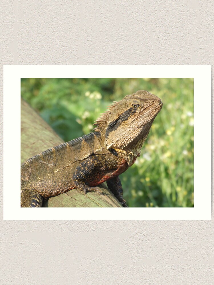 Thumbnail 1 of 3, Art Print, Water Dragon designed and sold by theoddshot.