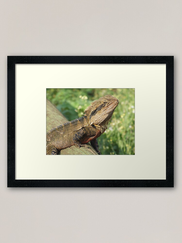 Thumbnail 1 of 7, Framed Art Print, Water Dragon designed and sold by theoddshot.
