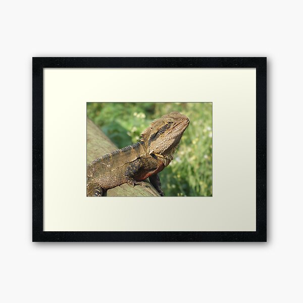 Framed Art Print