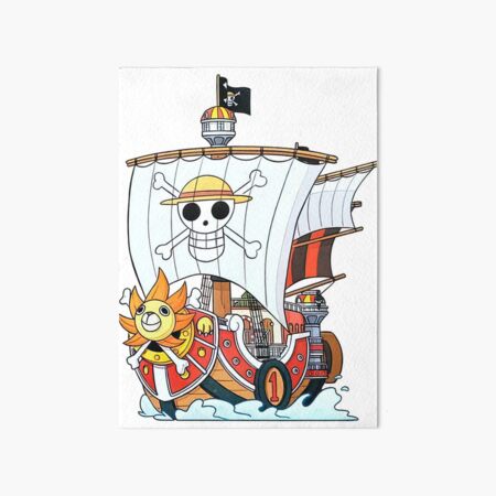 Going Merry and Thousand Sunny 