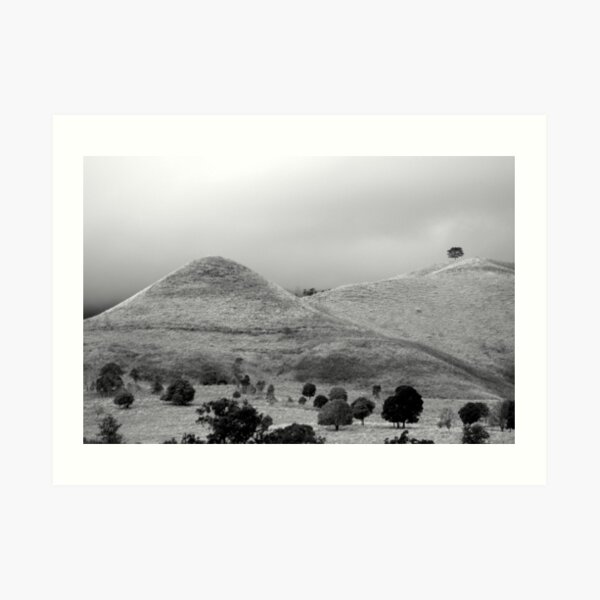 Art Print