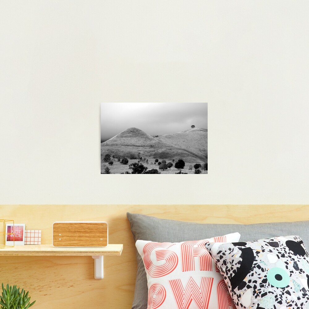 The Tree on the Hill Photographic Print