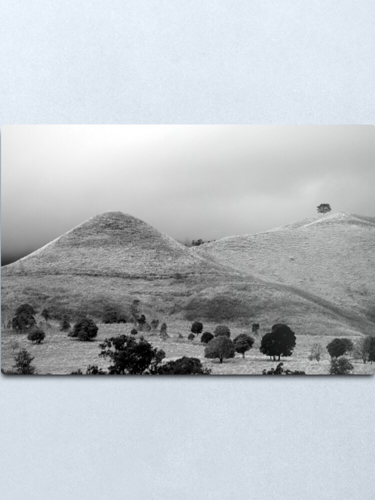 Alternate view of The Tree on the Hill Metal Print