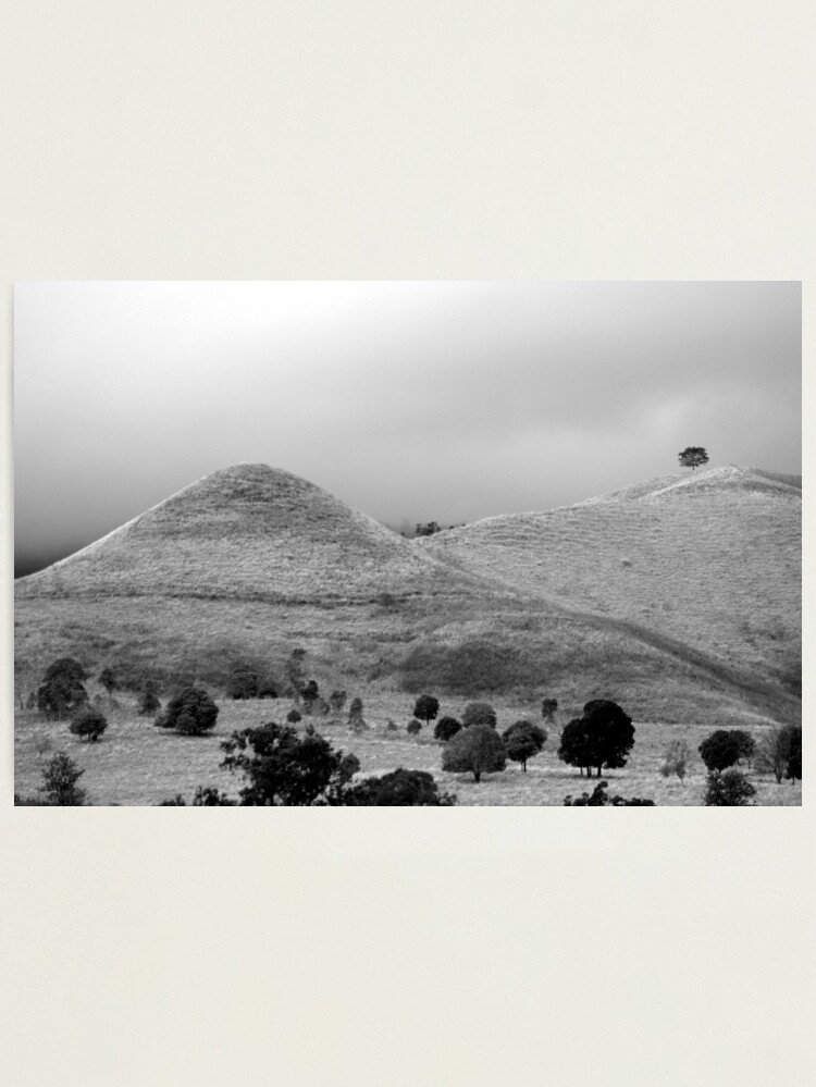 Thumbnail 2 of 3, Photographic Print, The Tree on the Hill designed and sold by theoddshot.