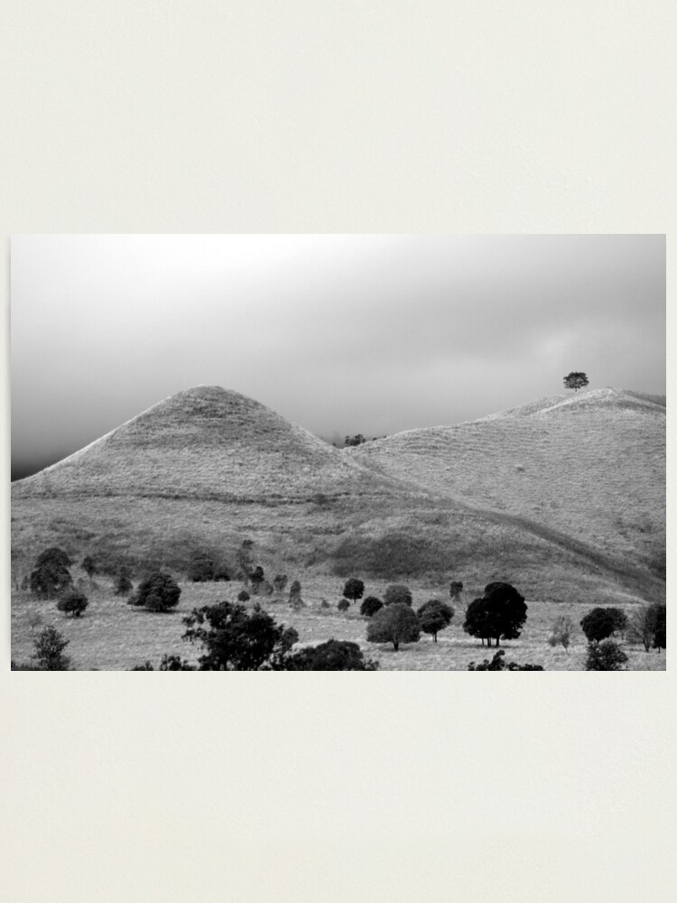 Alternate view of The Tree on the Hill Photographic Print